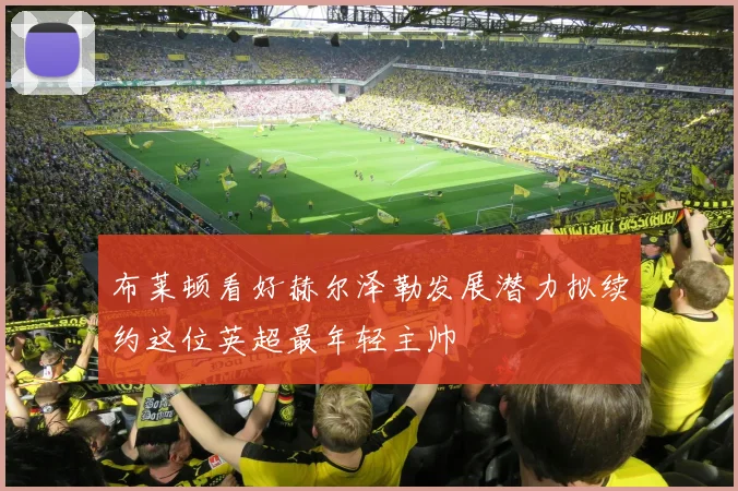 布莱顿看好赫尔泽勒发展潜力拟续约这位英超最年轻主帅